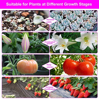 Grow Lights for Indoor Plants, Full Spectrum Dual-Head Clip Plant Lights - size: Red+Blue-2 Head 2 Pack