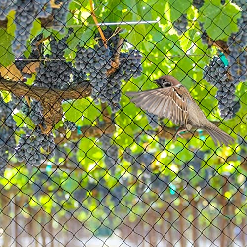 OGORI 25' x 100' Bird Netting Heavy Duty Nylon 3/4" Mesh Garden Netting Protect Fruit Trees, Plants and Vegetables - size: 25'×100'-3/4''