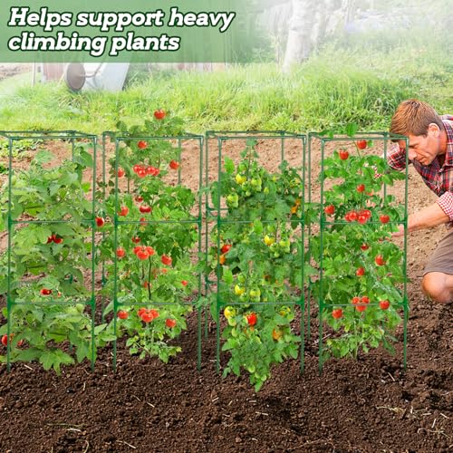 PAMASE 45x14.5x14.5in Square Tomato Cage for Garden, 4 Pack - style: 4 Pack