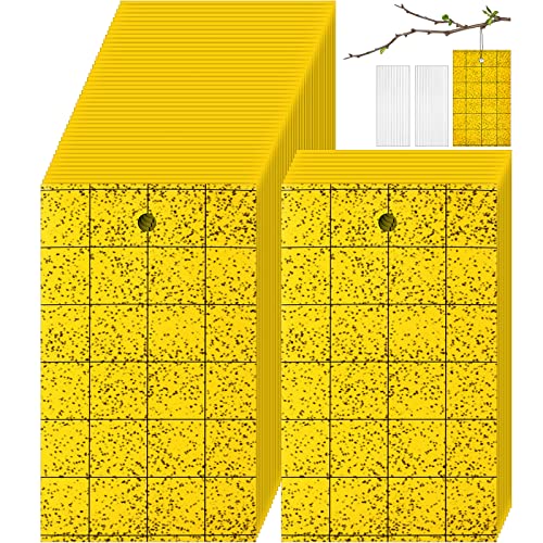 Qualirey 400 Pcs Sticky Trap for Gnats 3 x 5'' Dual Side Sticky Fruit Fly Trap with Tie Plant for Flying Insect Fungus Bugs Flying Catcher for Indoor (Yellow)