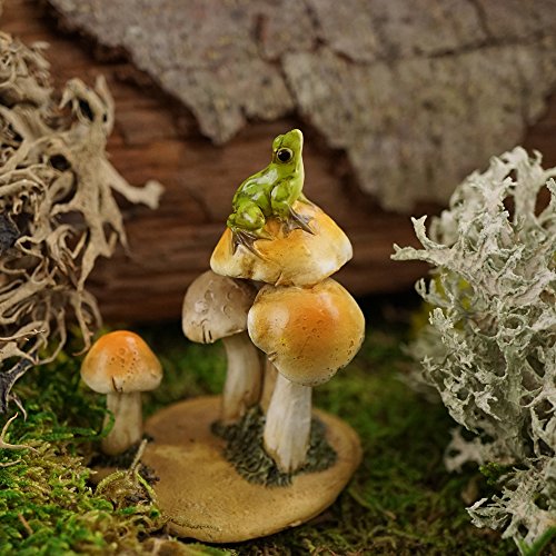 Top Collection Miniature Fairy Garden and Terrarium Statue, Frog on Mushrooms - color: Frog on Mushrooms