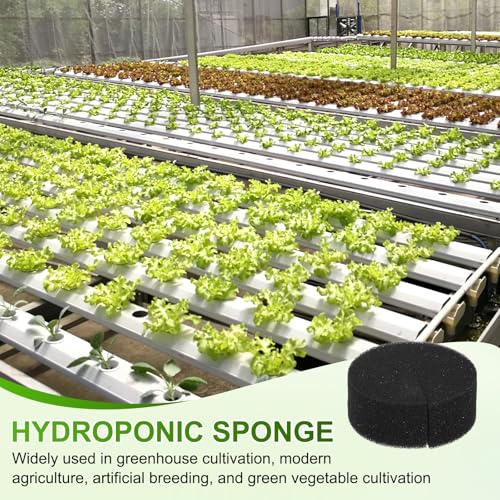 M METERXITY 50-Pack Hydroponics Sponges, 2.76 Inch Growing Media Cylindrical Sponges for Planting Gardening Tool/Grow Seedlings/Home Vegetable Flower, Soilless Cultivation Seedling [Black] - color: Black, size: 2.76 Inch