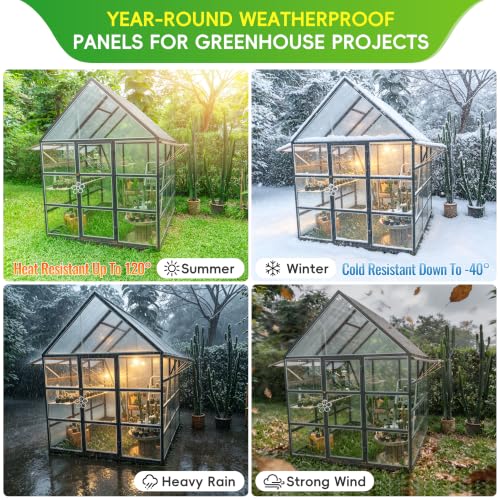 RITOLLO 6 Pack 4'FT x 2'FT x 0.24" in Polycarbonate Sheet for Greenhouse - size: 4'FT x 2'FT x 0.24" in