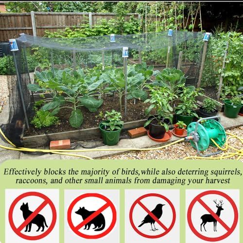 Junflying 15x15 FT Chicken Netting for Hawks & Predator Protection - size: 15x15 FT