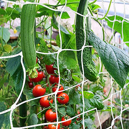 Trellis Netting, CANAGROW Heavy-Duty Garden Plant Trellis Netting for Climbing Plants, Outdoor Indoor Grow Net for Beans Tomatoes Peas Pumpkin Flowers, 6x30ft, 1 Pack - size: 6'x30'