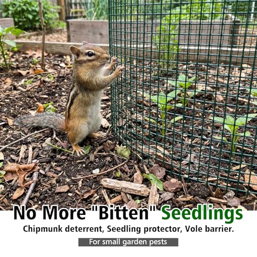 12" x 16" Plant Protectors from Animals 8 Pack