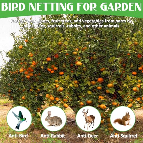 25x25FT Bird Netting for Garden,Heavy Duty Bird Netting for Chicken Coop with Ties and Staples for Vegetable, Fruit Trees,Plants, Lasting Against Birds Deer Squirrels and Poultry (Black) - size: 25x25FT
