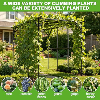 BUKLIYN Garden Arch - Grape Vine Trellis Size: 134.7 * 78.7 * 86.6 inches - size: One Leg-135×79×87in