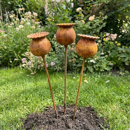 Set of 3 Rustic Metal Coneflower Garden Stakes,Rusty - color: Coffee