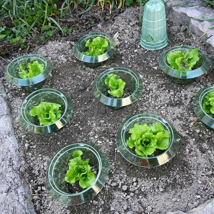 10 Pack Slug Collars for Plants - color: Green 10 PCS