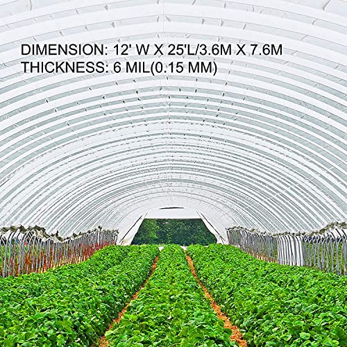 VEVOR Greenhouse Plastic Sheeting 16 x 25 ft, 6 Mil Thickness UV Resistant Clear Polyethylene Film, Hoop Green House Cover for Farms, Agriculture, Garden - size: 16 x 25 ft