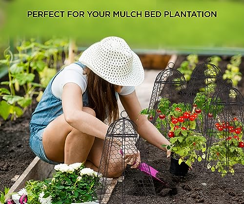 Garden Cloches for Plant Protector from Animals Chicken Wire Cages Outdoor - size: Set of 12 (20 inch high)