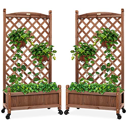 Best Choice Products Set of 2 48in Wood Planter Box & Diamond Lattice Trellis, Mobile Outdoor Raised Garden Bed for Climbing Plants w/Drainage Holes, Optional Wheels - Walnut - color: Brown, size: 48in (Set of 2)