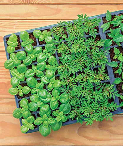 Burpee 72 Cell Seed Starting Kit with Greenhouse Dome and Coir Pellets - size: One Size