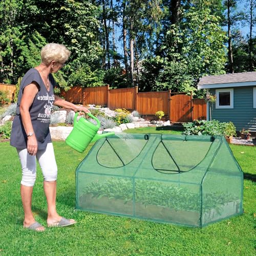 BPS 6x3x3 FT Mini Greenhouse with Roll-Up Zipper Windows, Green PE - color: Green, size: 6x3x3 FT