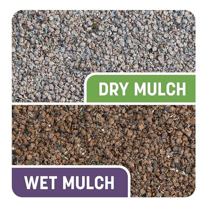 Pennington Smart Patch Dense Shade Grass Seeds for Lawn, 5 lb - size: 5 lb