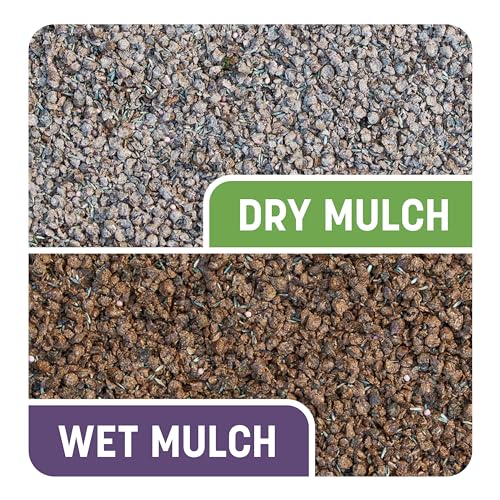 Pennington Smart Patch Dense Shade Grass Seed 5 LB - size: 5 lb