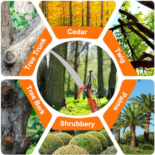 SISUPASSIE 26FT Reach Tree Trimmer, Telescoping Pole Saw with 5-20FT Extension Pole, Manual Tree Pruner Extendable for Yard, Garden, Patios - size: 20FT
