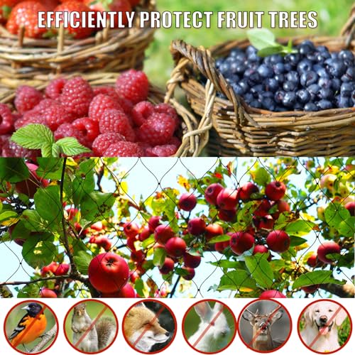 Bird Netting for Garden Protection - 1" Mesh Netting to Cover Chicken Coops - size: 1", 50' x 100'