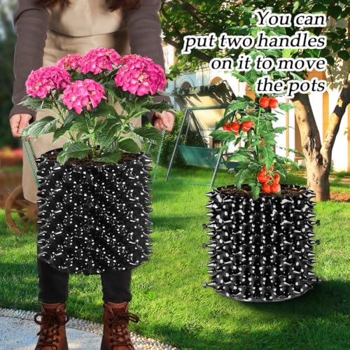 RooTrimmer Air Pruning Planters 5 Gallon 6-Pack, Sturdy Plastic Roots Control Planter Container for Fruit Vegetable Garden Orchard, Size 12"x12",Black - size: 5 Gallon-6P