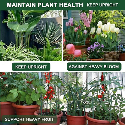 6 Pack Peony Cages and Supports, 14" (W) x 32"(H) Plant Support, Rust-Proof Metal Plant Support Stakes for Outdoor&Indoor Plants