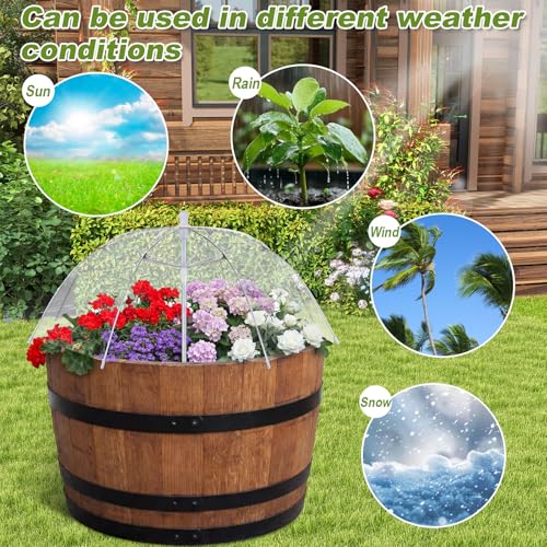 Abbylike 4 Pcs Clear Greenhouse Plant Umbrella Plant Rain Umbrellas,25 Inch - color: Clear, size: 25 Inch