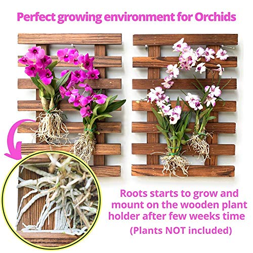 ShopLaLa Wooden Wall Planter (40cm, 4 Pack) Hanging Planters for Indoor - size: 40cm (15.7") x 4