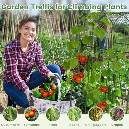 Cucumber Trellis, Metal Garden Arch Trellis for Raised Bed, 48 x 48inch U-Shape Garden Trellis for Climbing Plants Outdoor, Vegetables Fruit Plant Support with Netting, Gardening Supplies (Green) - size: 48 x 48 inch