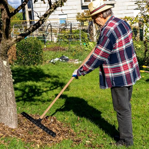 Leinuosen 2 Pack 48 Inch Replacement Wood Rake Handle for Leaf Rake - size: 48 Inch