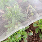 Garden Netting Bird Net 10x35Ft for Bug Protection - size: 10'x35'