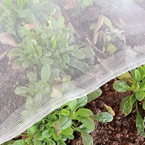 Garden Netting Bird Net 10x35Ft for Bug Protection - size: 10'x35'