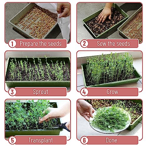 Mr. Pen- Seed Starter Trays, 5 Pack, 17"x10"x2.4" - color: Multicolor, size: 5 Pack