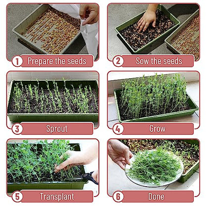 Mr. Pen- Seed Starter Trays, 5 Pack, 17"x10"x2.4" - color: Multicolor, size: 5 Pack