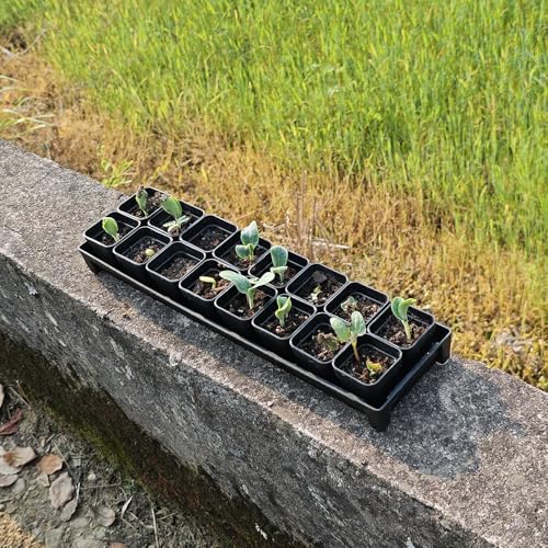 200 Pack 1.95 Inch Tiny Black Plastic Square Nursery and Seedling Pot, Mini Transplant Seed Starter Planter with Drain Hole for Germination, Herb, Succulent - color: Black, size: 1.95 inch