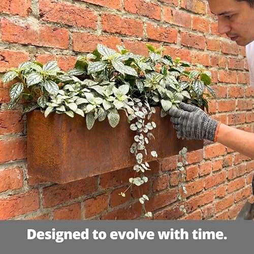 LaLaGreen Wall Planter for Outdoor (24in, 2 Pack) Wall Mounted Plant Holder - size: 24" x 2 Pack