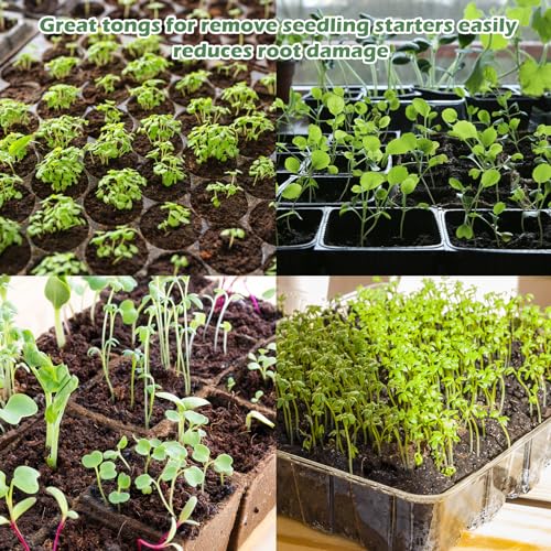 1PCS Seedling Transplant Tongs Stainless Steel Seedling Starters Remove Tongs Seedling Transplanting Tool Seedling Easy Transplanter with Anti-Slip Grasp Tips to Reduce Damage to Roots - color: 1PCS Silver