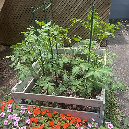 Garden Stakes, 57 Inch (Approx 5Ft) Steel Plant Tomato Stakes, 25 Pack - size: 57 inch