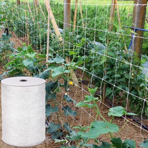 Berlune 6.5 x 2000 ft Trellis Netting Roll Heavy Duty Nylon Garden Trellis Netting with 6 Inch Mesh Soft Plant Support Net for Climbing Plants, Grape Racks, Growing Support Bean, Pea, Tomatoes - size: 6.5 x 2000 ft