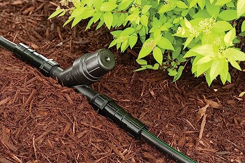 Rain Bird RBY075S Drip Filter, 3/4" - size: 3/4" x 3/4"