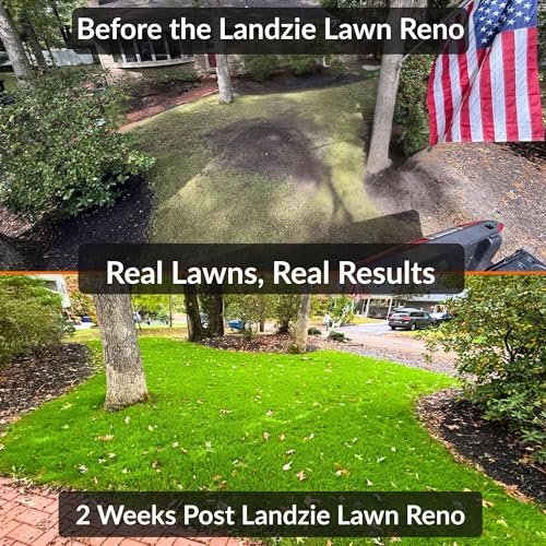 Landzie - Rolling Lawn Aerator, Manual Core Plug Aerator - size: Single