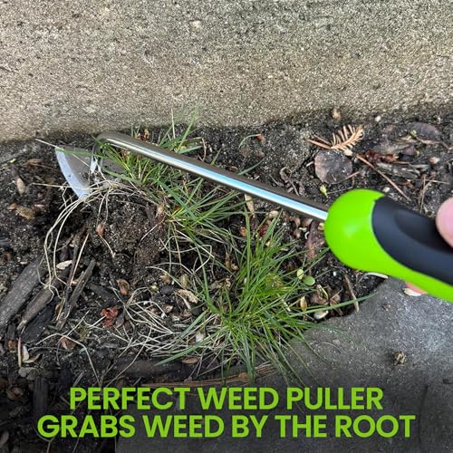 Garden Guru Root Weeder Tool with Ergonomic Handle - Stainless Steel Weed Puller for Planting, Weeding, Flower and Vegetable Care in Lawn Garden Yard | Rust Resistant (2 Pack) - size: 2 Pack, style: Root Weeder