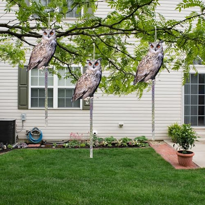 Owl to Keep Pigeons Away, 5 Pack Fake Owls, Pigeon Scare - color: Amazed Eagle 5pc