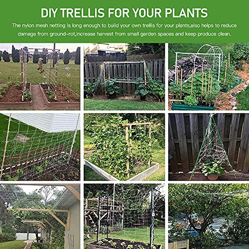 Trellis Netting, CANAGROW Heavy-Duty Garden Plant Trellis Netting for Climbing Plants, Outdoor Indoor Grow Net for Beans Tomatoes Peas Pumpkin Flowers, 6x30ft, 1 Pack - size: 6'x30'