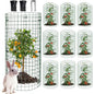 10 Sets 20"x 12" Wire Plant Protector from Animals, Plant Protector Cages - color: Green-10pcs