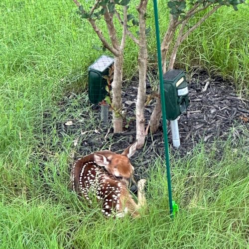 Deer Fence Netting 7x65 FT, 3/4" Mesh, 18GSM, Against Small Animal - size: 7x65 FT