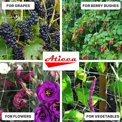 ATICCA 79 in x 328 FT Heavy Duty Plastic Trellis Netting 6-Inch Mesh, White - size: 79''x328ft Plastic Trellis Netting