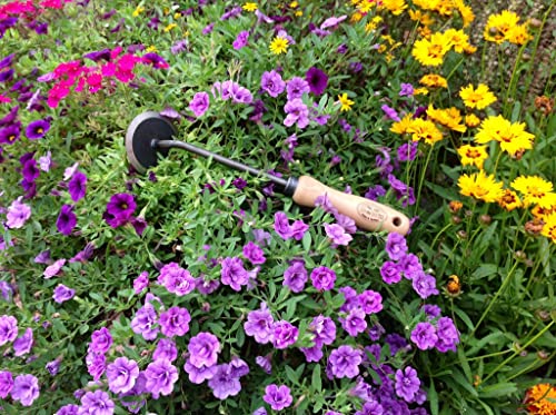 Tierra Garden - DeWit Garden Disc Weeder with Short Handle - size: Short Handle