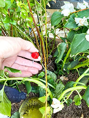 Rain Bird SWDMSPKIT Drip Spot Watering Kit - size: 18-Piece Kit, style: Spot Watering Kit: Bubblers/Emitters