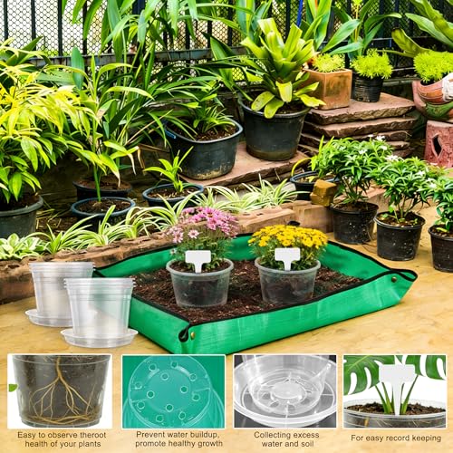 12PCS 5.75/7/8/10 in Clear Nursery Pots with Drainage Plant Pots