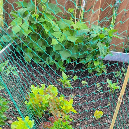 Bird Netting for Garden, 13 x 33Ft Anti Bird Net with 50 Ties and 20 Tacks